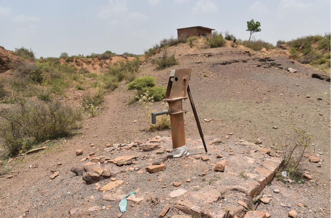 eviving Baran: A Journey of Reforestation and Renewal