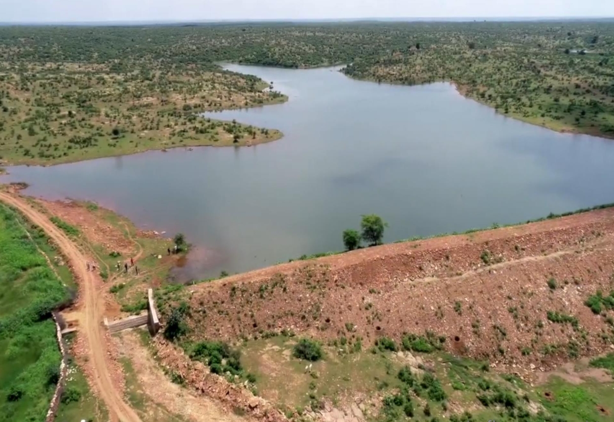 Circular Economy through Reforestation