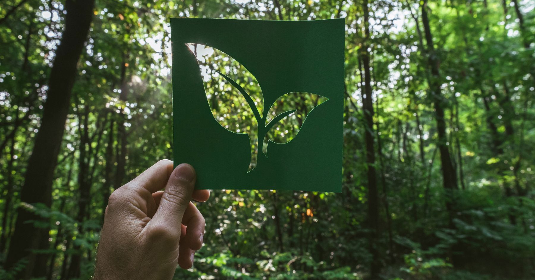 eco-friendly manufacturing