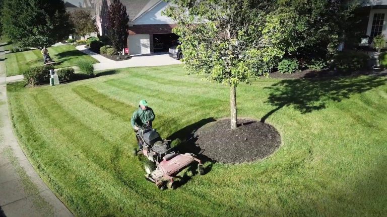 Why Robotic Mowers Could Be the Game-Changer for Commercial Properties