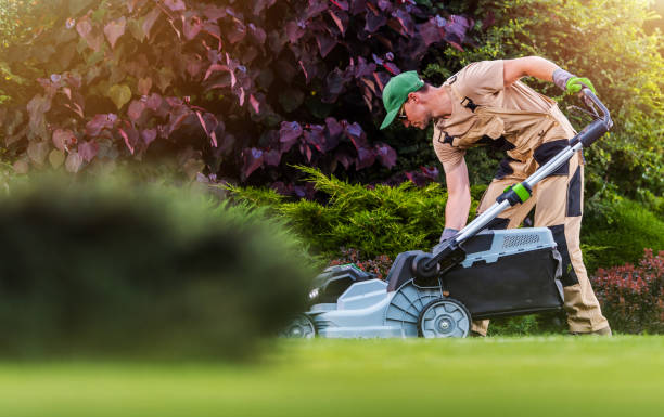 Ozzie Mowing And Gardening