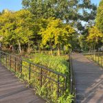 what to do at seletar aerospace park